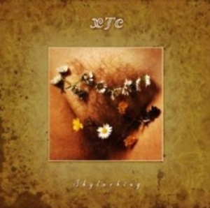 Xtc - Skylarking [corrected Polarity Edit i gruppen CD hos Bengans Skivbutik AB (1006651)