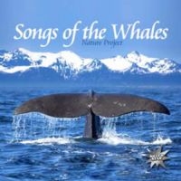 Various Artists - Songs Of The Whales i gruppen CD hos Bengans Skivbutik AB (1012692)