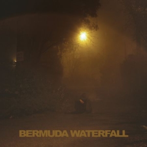 Savage Sean Nicholas - Bermuda Waterfall i gruppen CD hos Bengans Skivbutik AB (1014266)