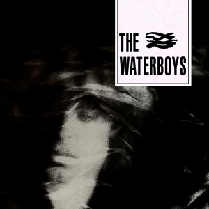 The Waterboys - Waterboys i gruppen Minishops / Waterboys hos Bengans Skivbutik AB (1020032)