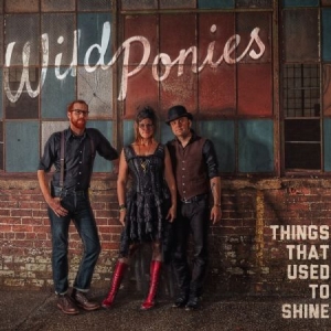 Wild Ponies - Things That Used To Shine i gruppen CD hos Bengans Skivbutik AB (1023740)