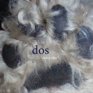 Dos (Mike Watt) - Dos Y Dos i gruppen CD hos Bengans Skivbutik AB (1023826)