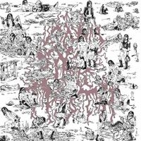 Soft Pink Truth - Why Do The Heathen Rage? i gruppen VINYL hos Bengans Skivbutik AB (1029352)