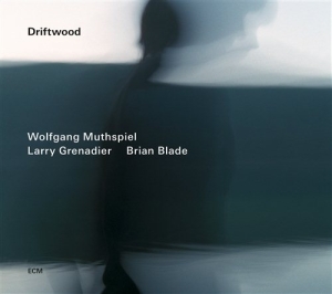 Wolfgang Muthspiel/Larry Grenadier/ - Driftwood i gruppen CD hos Bengans Skivbutik AB (1030638)