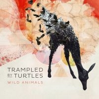 Trampled By Turtles - Wild Animals i gruppen CD hos Bengans Skivbutik AB (1032211)