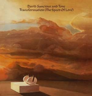 Sancious David & Tone - Transformation (The Speed Of Love) i gruppen CD hos Bengans Skivbutik AB (1054420)