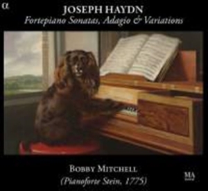 Haydn - Fortepiano Sonatas i gruppen CD hos Bengans Skivbutik AB (1058004)