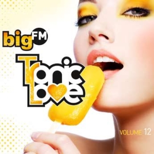 Various Artists - Big Fm Tropic Love Vol.12 i gruppen CD hos Bengans Skivbutik AB (1058282)