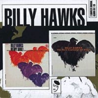 Hawks Billy - New Genius Of The Blues/Heavy Soul! i gruppen CD hos Bengans Skivbutik AB (1060428)