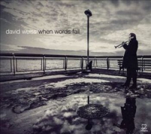 Weiss David - When Words Fail i gruppen CD hos Bengans Skivbutik AB (1088423)