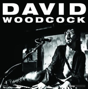 Woodcock David - David Woodcock i gruppen CD hos Bengans Skivbutik AB (1098926)