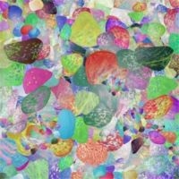 Grumbling Fur - Preternaturals i gruppen VINYL hos Bengans Skivbutik AB (1099023)