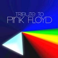 Various Artists - Tribute To Pink Floyd i gruppen Minishops / Pink Floyd hos Bengans Skivbutik AB (1099940)