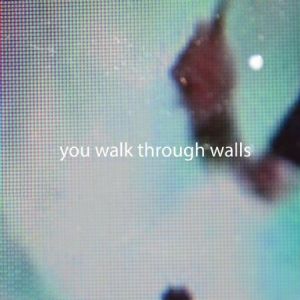 You Walk Through Walls - You Walk Through Walls (Lim.Ed.Colo i gruppen VINYL hos Bengans Skivbutik AB (1105199)