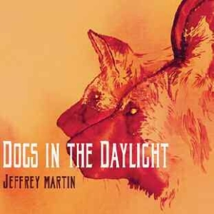 Martin Jeffrey - Dogs In The Daylight i gruppen CD hos Bengans Skivbutik AB (1105351)