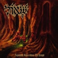 SHEOL - SEPULCHRAL RUINS BELOW THE TEMPLE i gruppen VI TIPSER / Julegavetips CD hos Bengans Skivbutik AB (1110930)