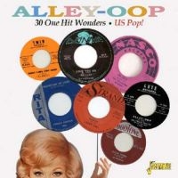 Various Artists - Alley-Oop - 30 One Hit Wonders Us P i gruppen CD hos Bengans Skivbutik AB (1111477)