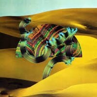 Django Django - Django Django (The Album) i gruppen VINYL hos Bengans Skivbutik AB (1114242)