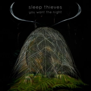 Sleep Thieves - You Want The Night i gruppen VINYL hos Bengans Skivbutik AB (1117890)