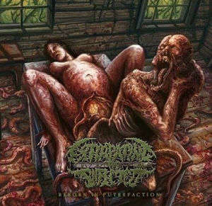 Extirpating The Infected - Reborn In Putrefaction i gruppen CD hos Bengans Skivbutik AB (1117940)