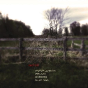 Wadada Leo Smith Jamie Saft Joe M - Red Hill i gruppen CD hos Bengans Skivbutik AB (1125539)