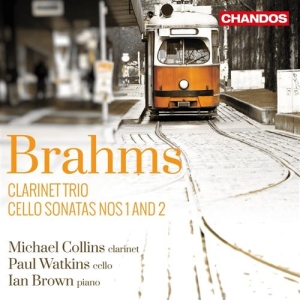 Brahms - Clarinet Trio i gruppen CD hos Bengans Skivbutik AB (1126887)