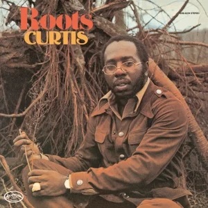 Curtis Mayfield - Roots i gruppen CD hos Bengans Skivbutik AB (1129928)