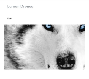 Nils Økland / Per Steinar Lie / Ørj - Lumen Drones i gruppen CD hos Bengans Skivbutik AB (1131053)