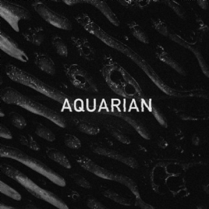 Aquarian - Aquarian Ep i gruppen VINYL hos Bengans Skivbutik AB (1131339)