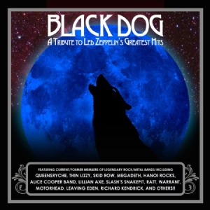 Led Zeppelin.=Tribute= - Black Dog i gruppen CD hos Bengans Skivbutik AB (1131505)