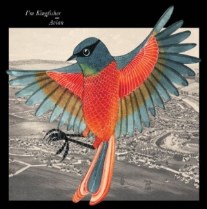 I'm Kingfisher - Avian - Red Vinyl i gruppen VINYL hos Bengans Skivbutik AB (1135387)