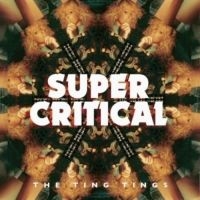 Ting Tings - Super Critical i gruppen CD / Pop-Rock hos Bengans Skivbutik AB (1142475)