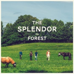 Splendor - Forest i gruppen VINYL hos Bengans Skivbutik AB (1142506)