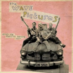 Wave Pictures - Great Big Flamingo Burning Moon i gruppen CD hos Bengans Skivbutik AB (1145975)