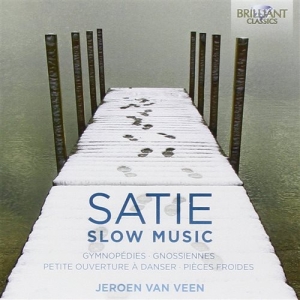 Satie - Slow Music i gruppen CD hos Bengans Skivbutik AB (1148227)