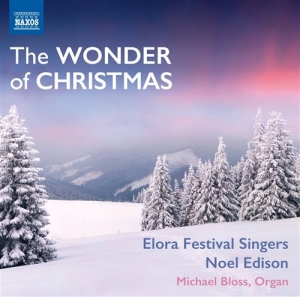 Various Composers - The Wonder Of Christmas i gruppen CD hos Bengans Skivbutik AB (1153903)