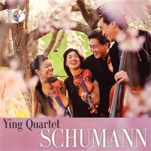 Robert Schumann - String Quartets i gruppen DVD & BLU-RAY hos Bengans Skivbutik AB (1161850)