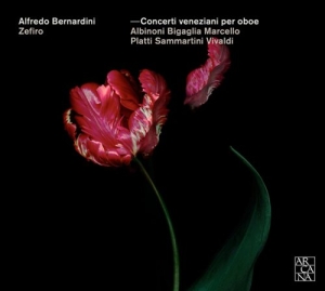 Various Composers - Venetian Oboe Concertos i gruppen CD hos Bengans Skivbutik AB (1164284)