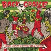 V/A - Back From The Grave Vol 10 - Vol.10 - Back From The Grave i gruppen VINYL hos Bengans Skivbutik AB (1166173)