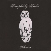 Trampled By Turtles - Palomino i gruppen CD hos Bengans Skivbutik AB (1166249)