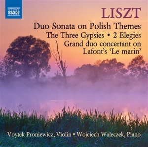 Liszt - Music For Violin And Piano i gruppen CD hos Bengans Skivbutik AB (1167907)