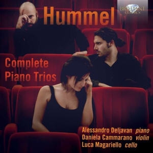 Hummel - Piano Trios i gruppen CD hos Bengans Skivbutik AB (1167979)