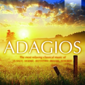 Various Composers - Adagios i gruppen CD hos Bengans Skivbutik AB (1168312)