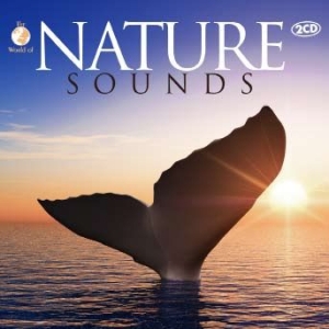 Various Artists - Nature Sounds i gruppen CD / Pop-Rock hos Bengans Skivbutik AB (1173413)