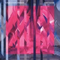 A Place To Bury Strangers - Transfixiation i gruppen Minishops / A Place To Bury Strangers hos Bengans Skivbutik AB (1181521)