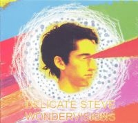 Delicate Steve - Wondervisions i gruppen VINYL hos Bengans Skivbutik AB (1186973)