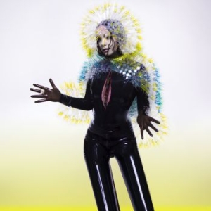 Bjork - Vulnicura i gruppen VI TIPSER / Beste Album Under 10-tallet / Beste Album Under 10-tallet - Pitchfork hos Bengans Skivbutik AB (1190041)