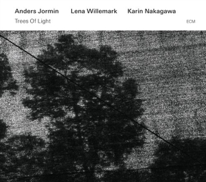 Jormin / Willemark / Nakagawa - Trees Of Light i gruppen CD hos Bengans Skivbutik AB (1244213)