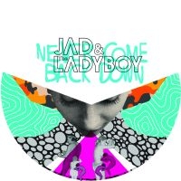 Jad & The Ladyboy - Never Come Back Down i gruppen VINYL hos Bengans Skivbutik AB (1244308)