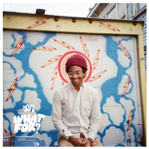 Toro Y Moi - What For? i gruppen VINYL hos Bengans Skivbutik AB (1247465)